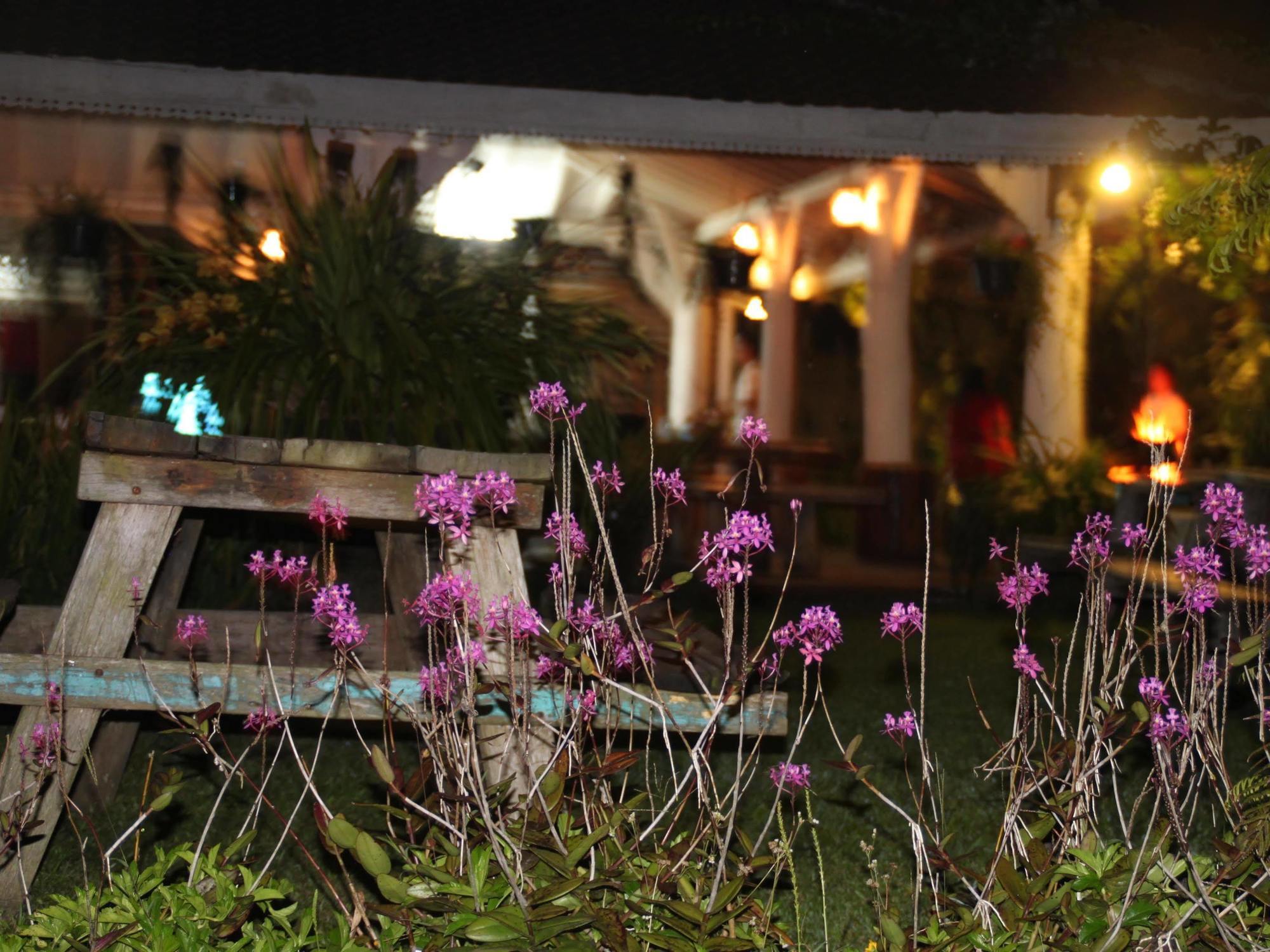 Warung Rekreasi Bedugul Hotel Екстериор снимка