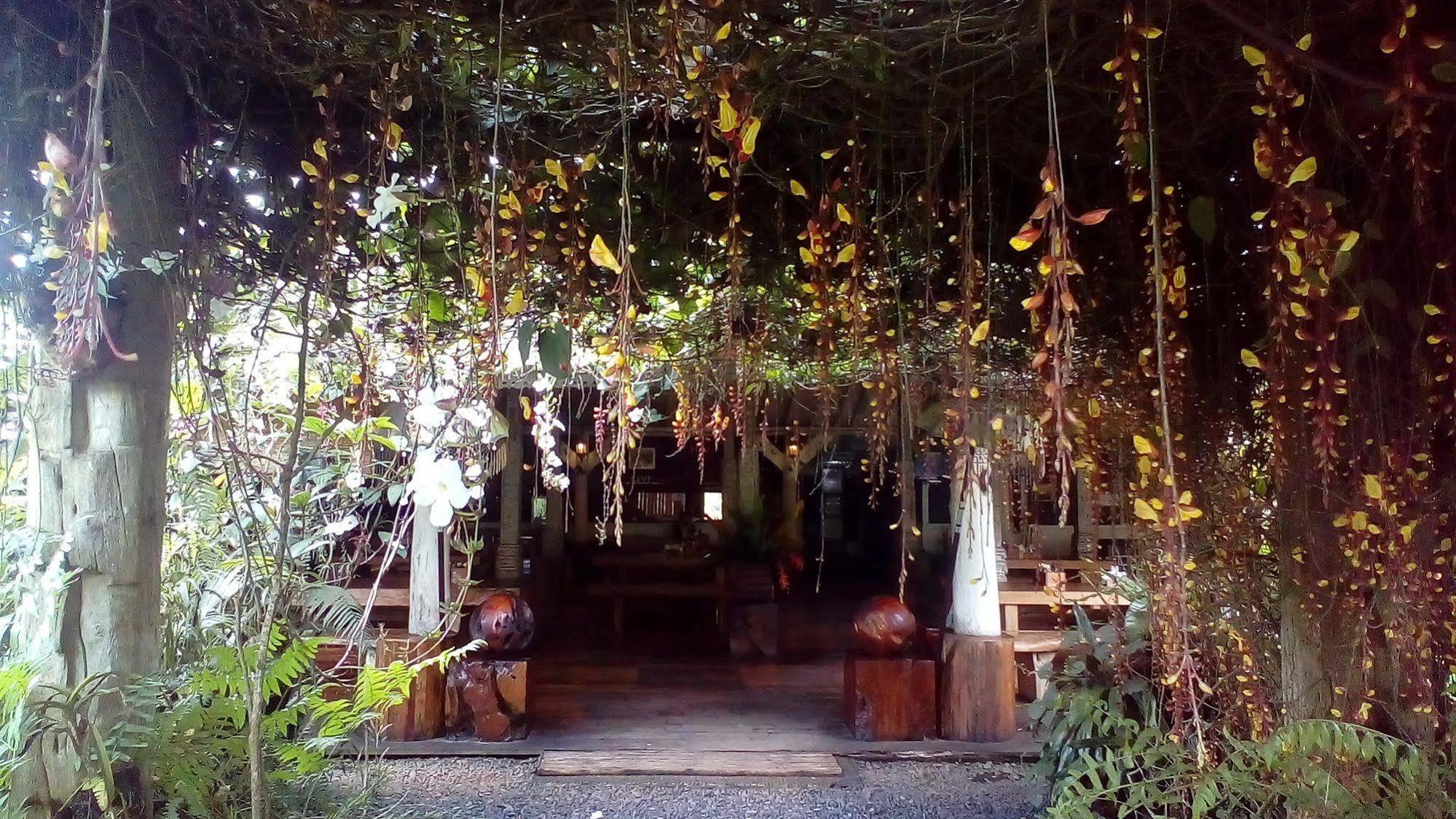 Warung Rekreasi Bedugul Hotel Екстериор снимка
