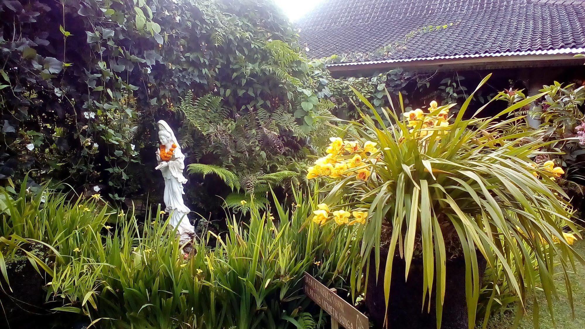 Warung Rekreasi Bedugul Hotel Екстериор снимка
